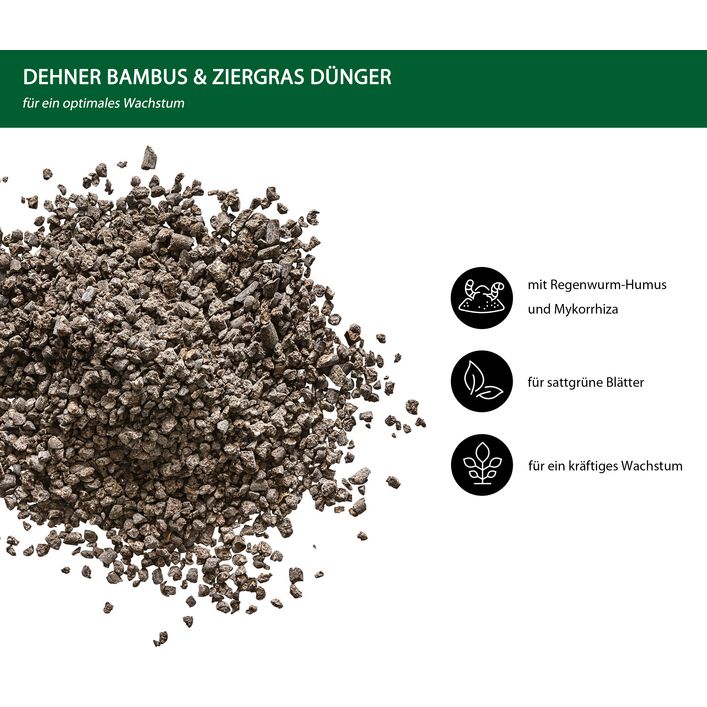 dung ti oolong Oolong Milky Dung TI – Talchá main image 1