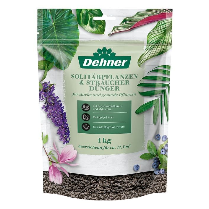 Dehner Solitrpflanzen- und | Dehner