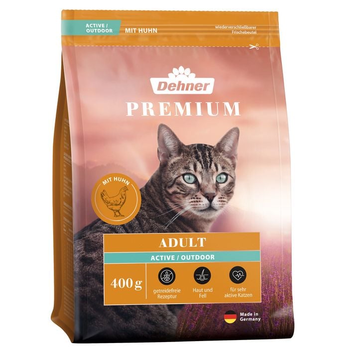 katzen kratzbaum für große katzen Kratzbaum für grosse Katzen – Extra stabil & robust – pandaloo.ch