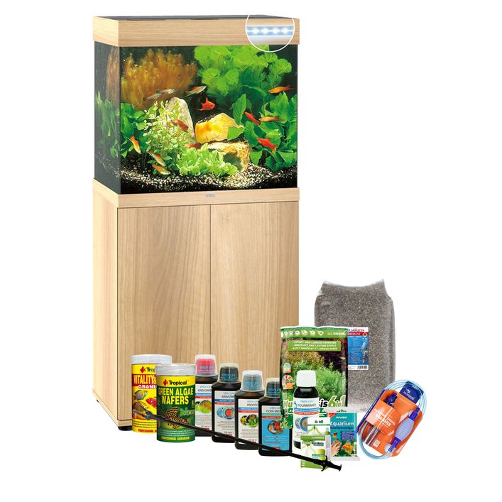 Outlet Aquarium komplett 120 L LED mit Fische, Pflanzen und Zubehör