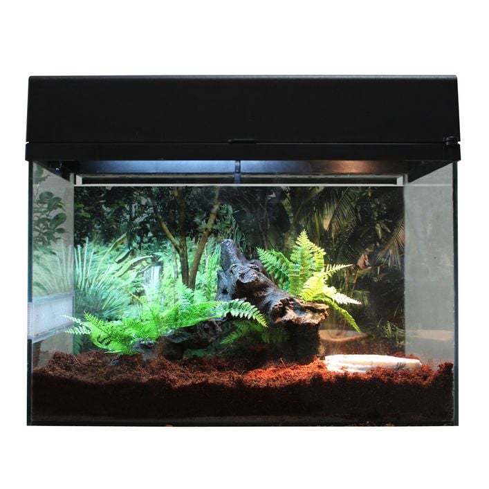 Moistenland Reptilien-Terrarien-Zubehör – 20-teiliges Set Mit Sprühdüse, Schlauch Und Zubehör