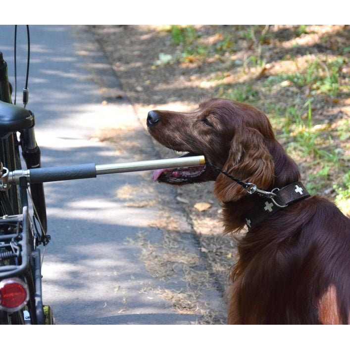 dobar petlife Fahrradleine Walky Dog Plus | Dehner