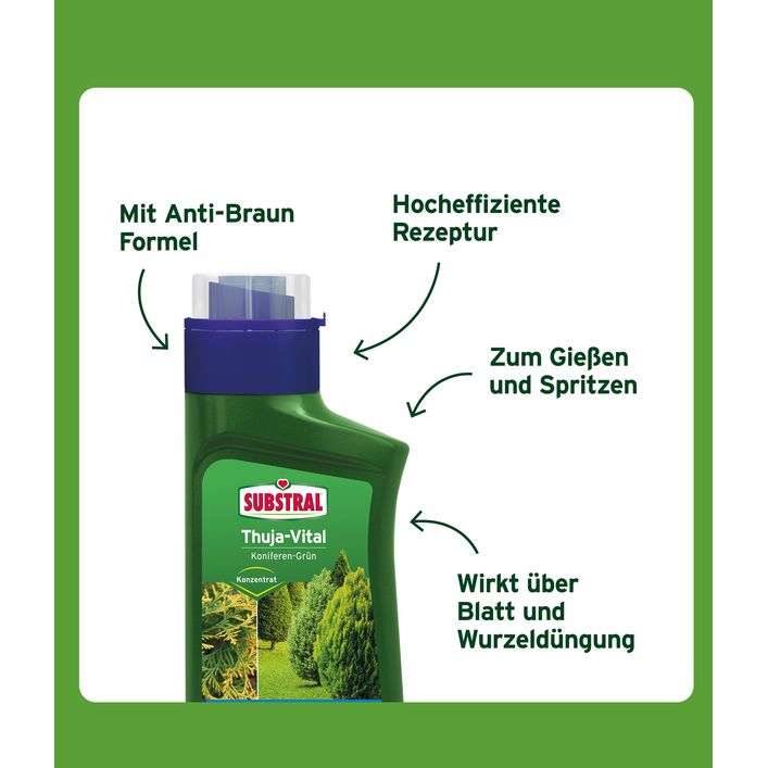 Substral Thuja-Vital, flssig, 500 ml | Dehner
