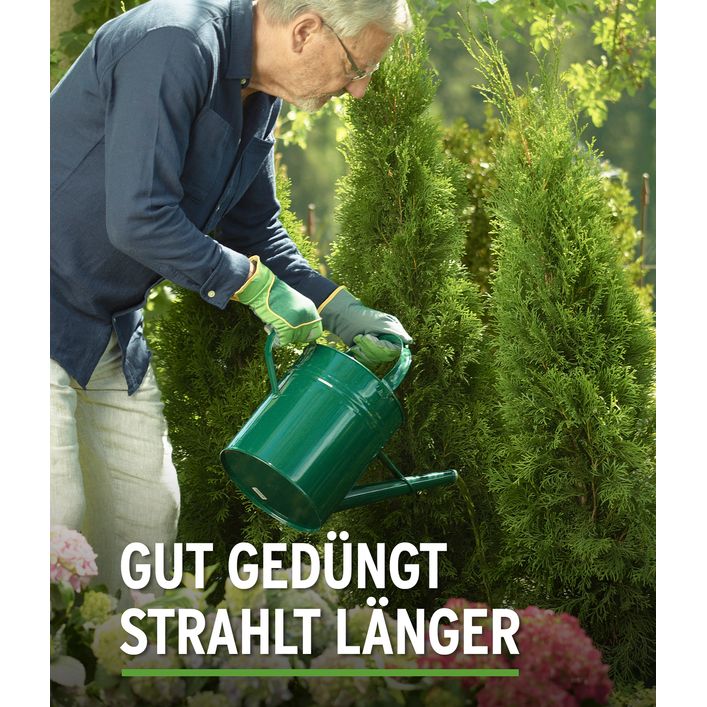 Substral Thuja-Vital, flssig, 500 ml | Dehner