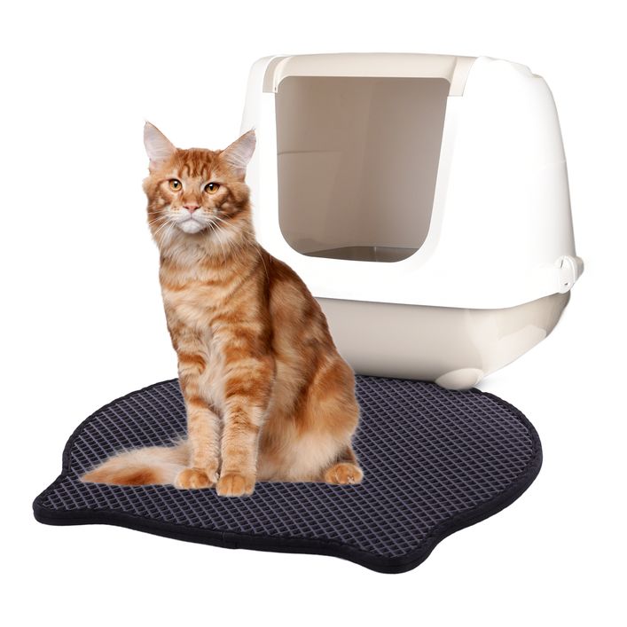 Katzen-Teppich Fürs Katzenklo – 40x60 Cm, Wasserdicht, Rutschfest, Doppellagig, Faltbar
