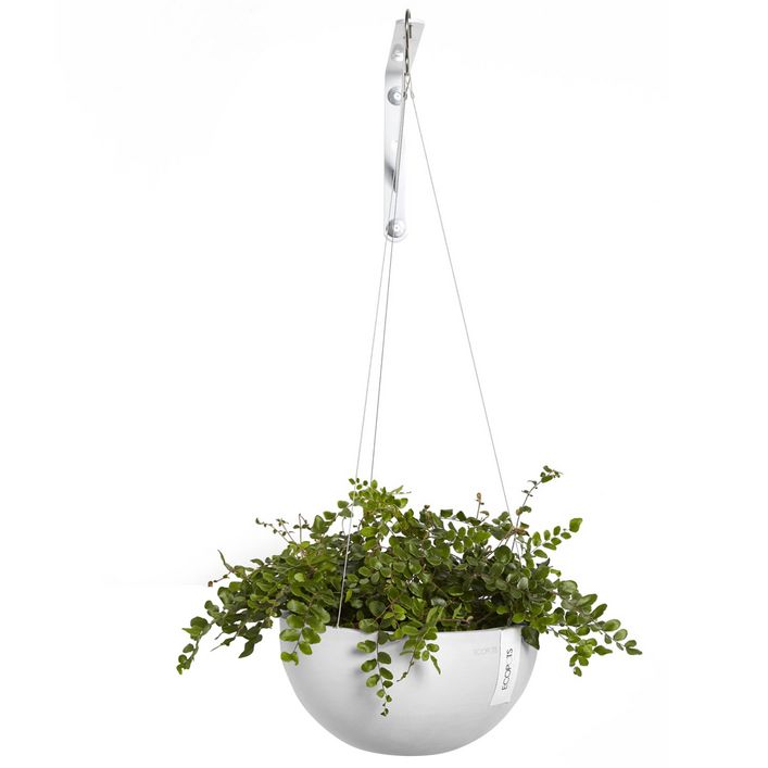 Ecopots Kunststoff-Ampel Brussels mit | Dehner