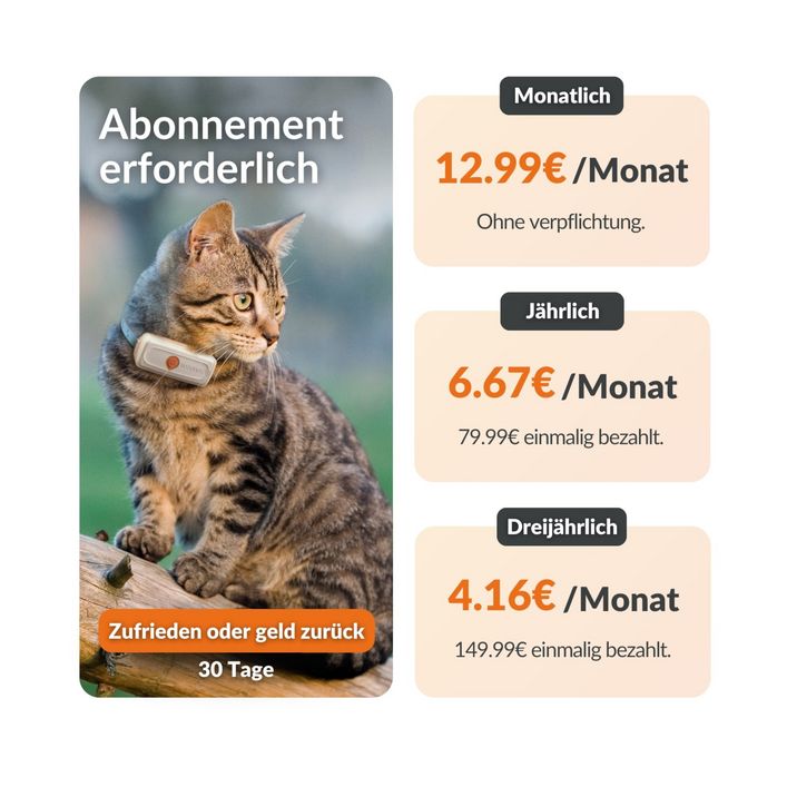 hundebett aus holz selber bauen Indoor Hundebett
