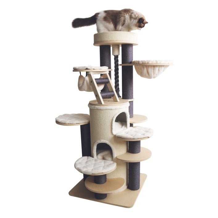 Nobby Kratzbaum Crio, creme, ca. B70/H160/T70 | Dehner