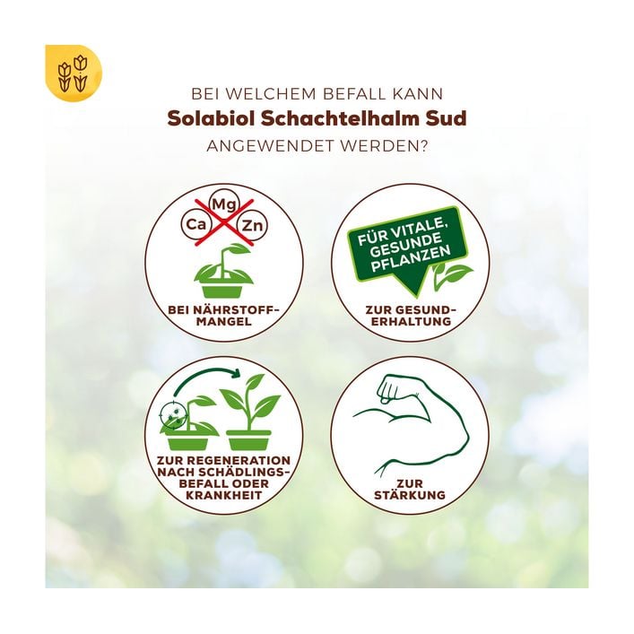 Solabiol Schachtelhalm Sud, 1 l | Dehner