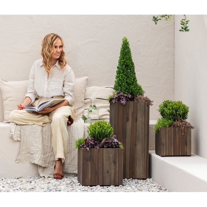 thuja hecke smaragd kaufen Thuja Smaragd kaufen main image 1