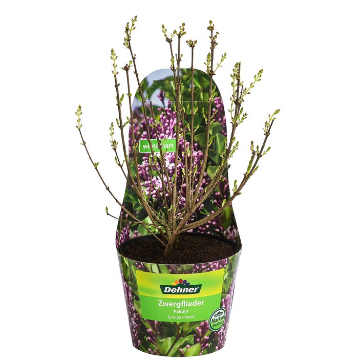 bambus dnger Purgrn Bambusdnger 1 Liter