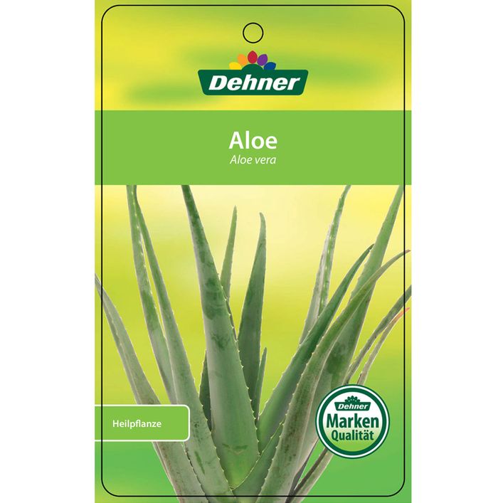 aloe vera gel 99 9 prozent Aloe Vera Gel One Gallon Pure Organic Alcohol-Free, Soothing main image 1