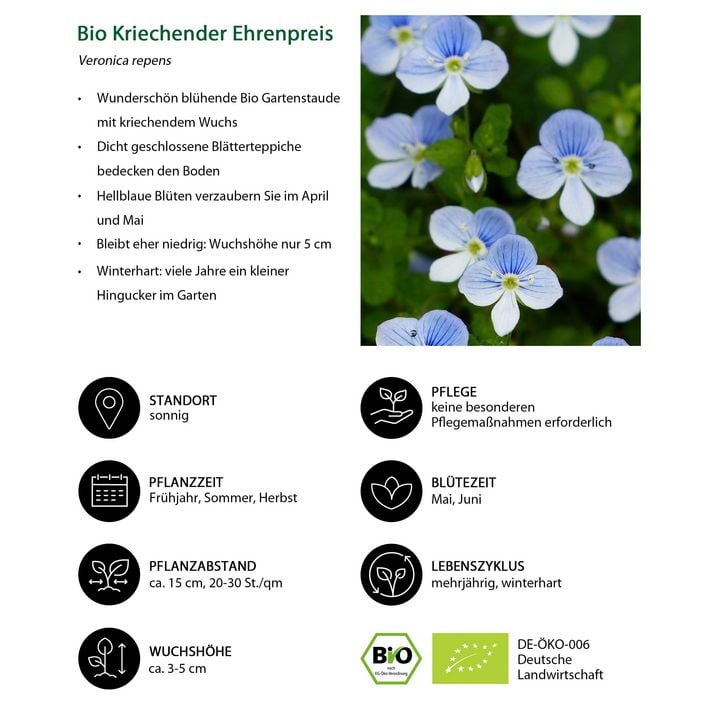 ficus dünger selber machen Bonsaidünger - Mineralischer NPK Flüssigdünger mit Stickstoff main image 0