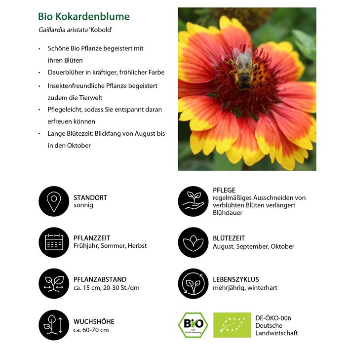 redmi note 11 handyhlle Imbuia Xiaomi REDMi Note 11 Pro / 11 Pro 5G Handyhlle aus Holz