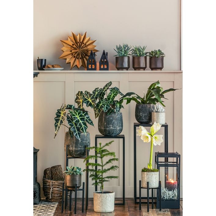knstliche pflanzen gnstig kaufen Kunstpflanze Philodendron 100cm gnstig online kaufen