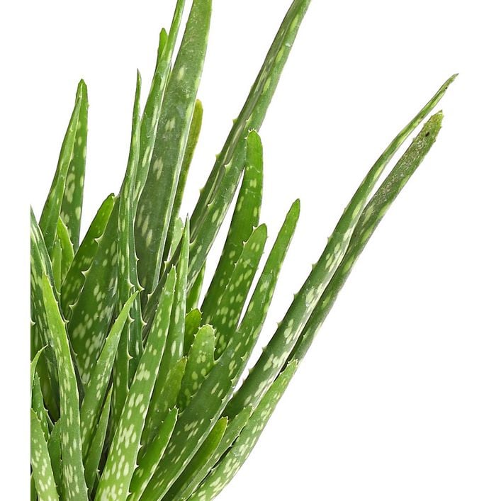 Kristina Kuzmina onlayn porno rasmlar