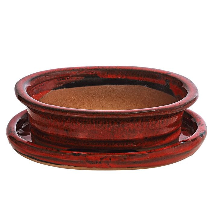 Dehner Keramik-Bonsaischale, oval, rot | Dehner