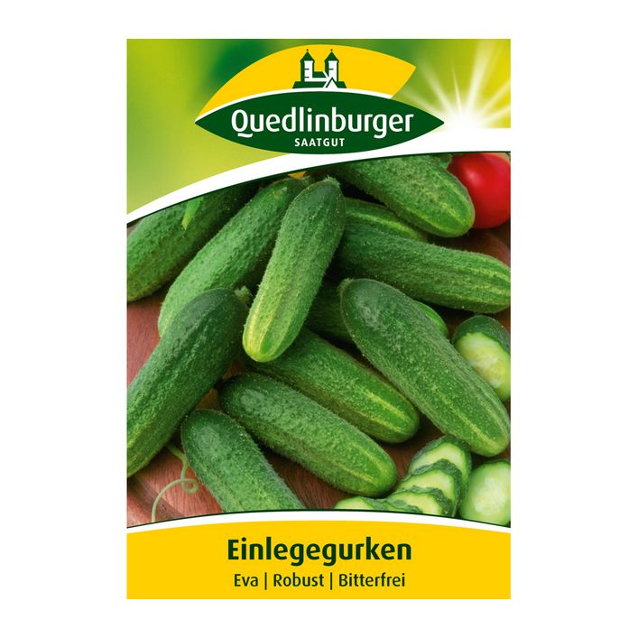 Quedlinburger Samen Einlegegurke 'Eva' | Dehner