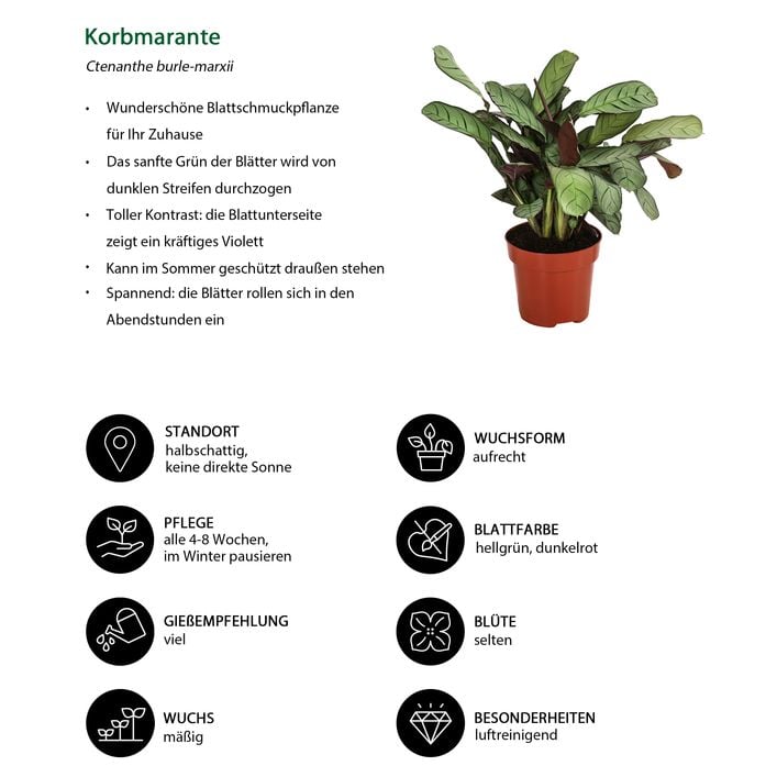 kunstpflanzen außenbereich uv beständig 60cm Real Touch Hortensie UV-resistent – Künstliche Blume für Außenber –  kunstblumenshop main image 0
