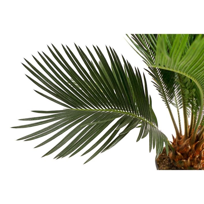 aloe after sun gel Live Well 30A : Vacation After Sun Gel