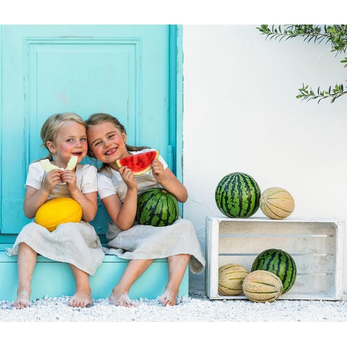Mini Wassermelone | Dehner