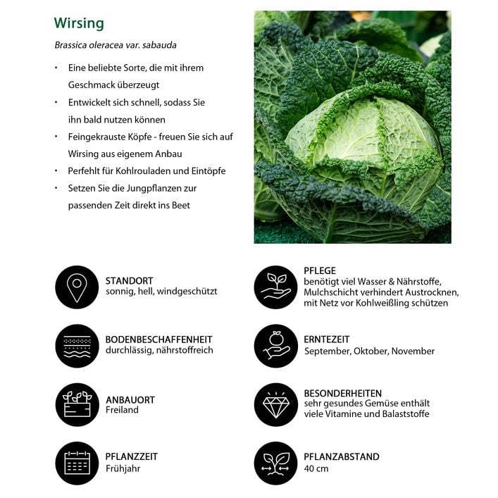 fahrradanhnger fr hunde bis 50 kg Fahrradanhnger Hund
