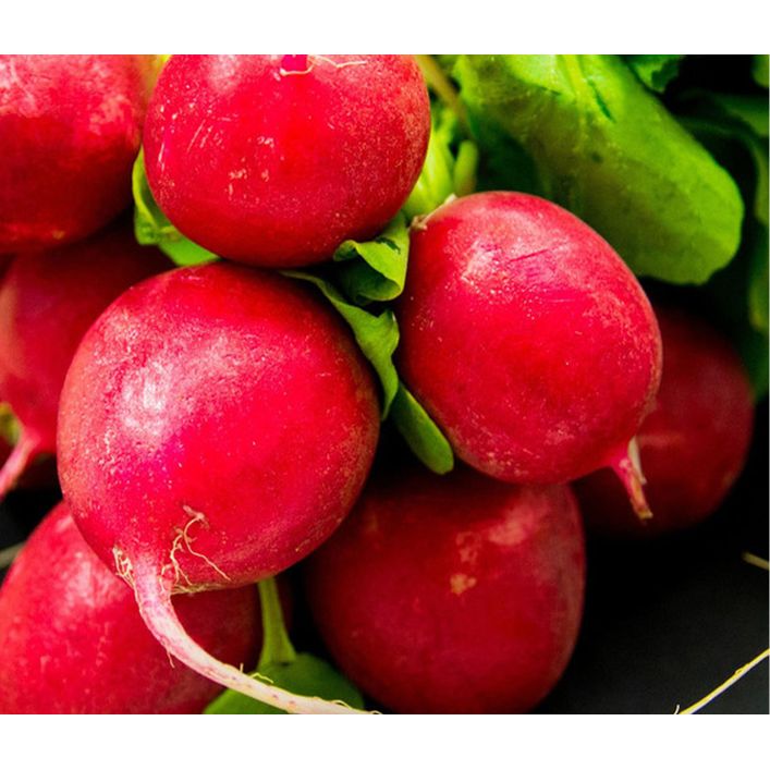 Dehner Gourmet Garten Butterradieschen, 20er | Dehner
