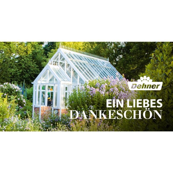Austria product data sample: Gutschein - Ein liebes Dankeschön