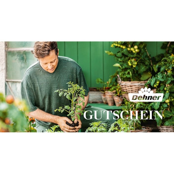 Austria product data sample: Gutschein - Eigenanbau