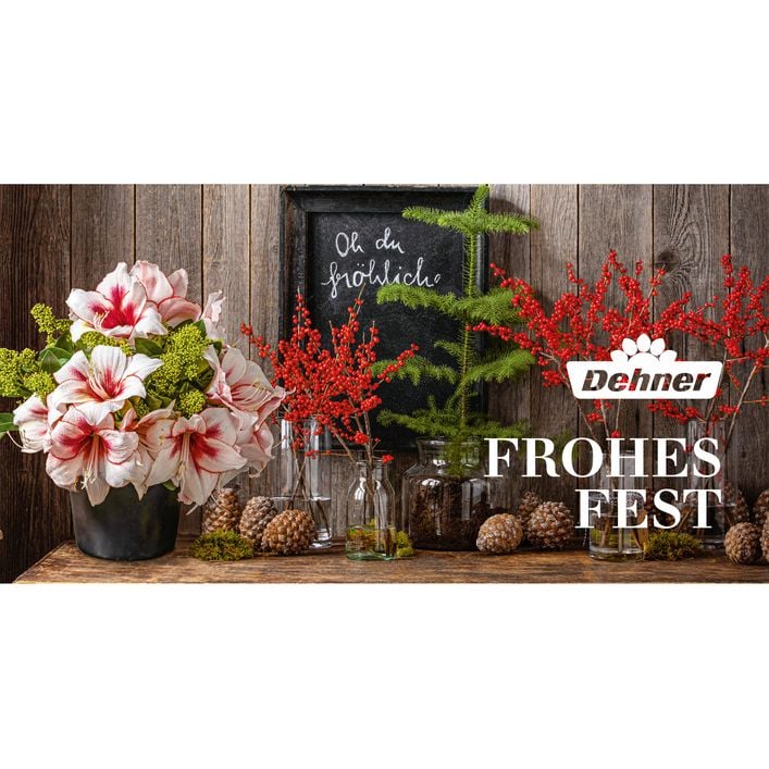 Austria product data sample: Gutschein - Frohes Fest