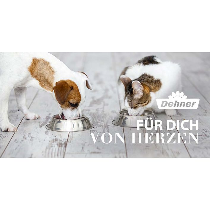 Austria product data sample: Gutschein - Für Dich von Herzen