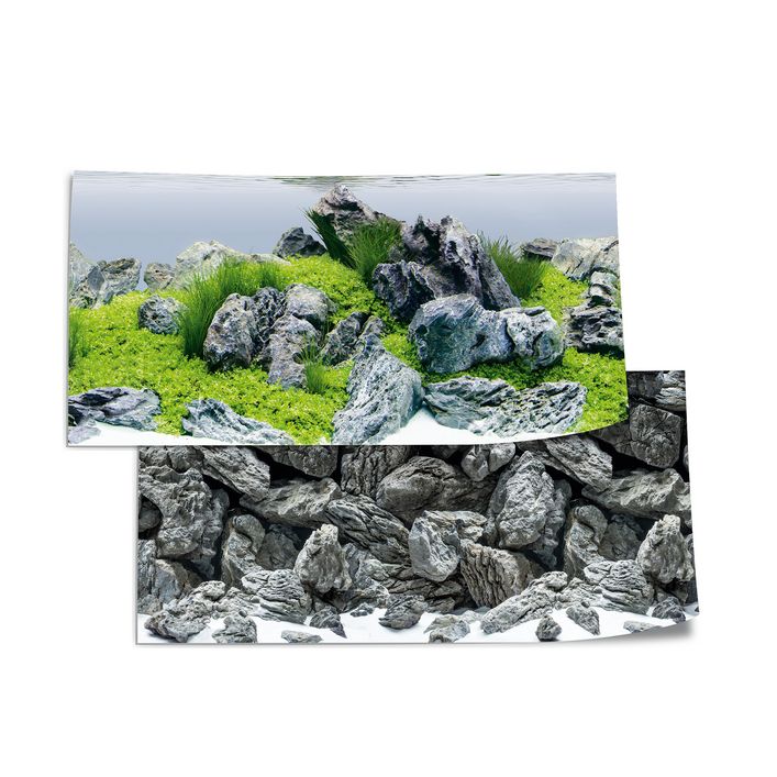 Hobby Aquarium Fotorückwand, Hintergrund Poster Motiv Pflanzen H=50cm