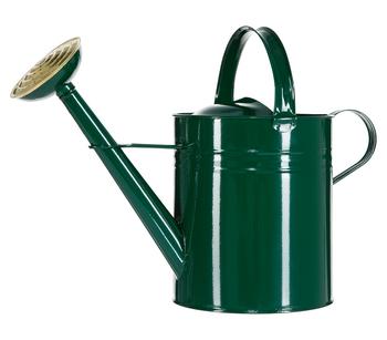 Dehner Zink-Gießkanne, 9 l, grün, Dunkelgrün - Stahl