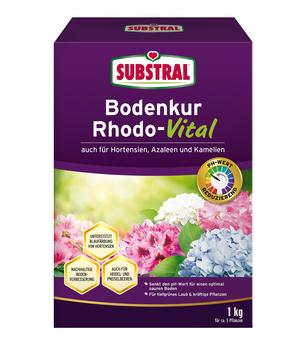 Substral Bodenkur Rhodo-Vital, 1 kg