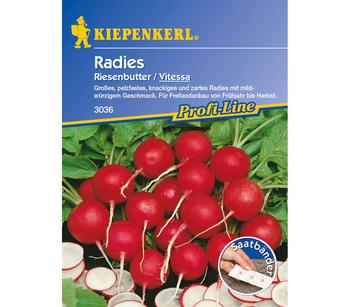 Kiepenkerl Saatband Radies 'Vitessa'