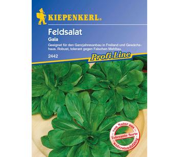 Kiepenkerl Samen Feldsalat 'Gala'