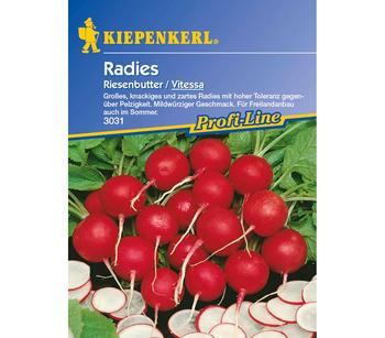 Kiepenkerl Saatgut Radies 'Riesenbutter / Vitessa'