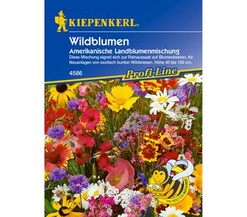 Kiepenkerl Saatgut Wildblumen Amerikanische Landblumenmischung