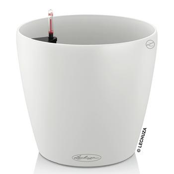 LECHUZA CLASSICO Color, All-in-One-Set, Weiß - Kunststoff