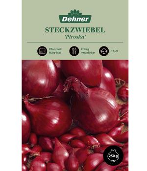 Dehner Steckzwiebel 'Piroska', 250 g