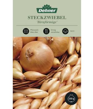 Dehner Steckzwiebel 'Birnförmige', 250 g