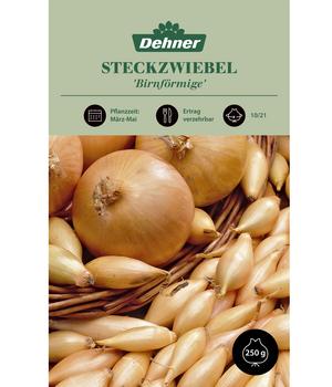 Dehner Steckzwiebel 'Birnförmige', 250 g
