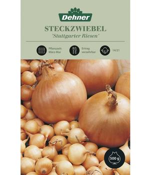 Dehner Steckzwiebel 'Stuttgarter Riesen', Gelb / Hellbraun