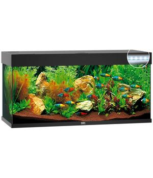 JUWEL® AQUARIUM Rio 240 LED