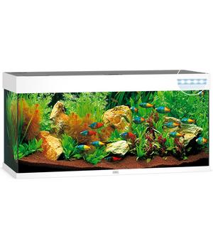 JUWEL® AQUARIUM Rio 240 LED