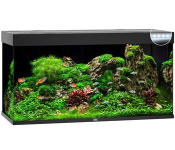 JUWEL® AQUARIUM Rio 350 LED