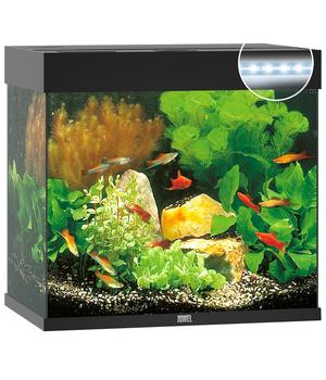 JUWEL® AQUARIUM Lido 120 LED