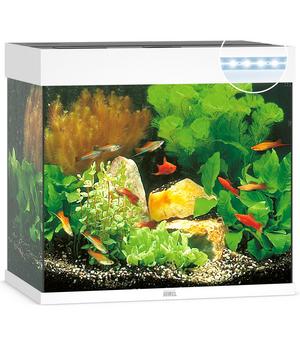 JUWEL® AQUARIUM Lido 120 LED