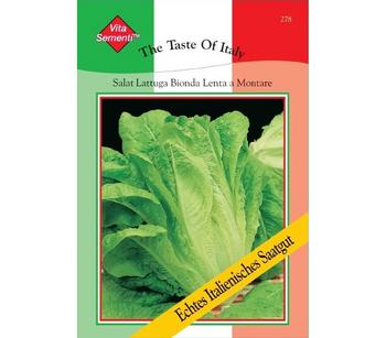Thompson & Morgan Samen Salat 'Lattuga Bionda'