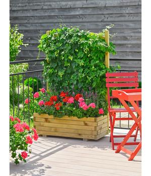 Dehner HolzBlumenkasten mit Spalier Wachau, Dehner